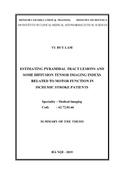 Tóm tắt Luận án Estimating pyramidal tract lesions and some diffusion tensor imaging indexs related to motor function in ischemic stroke patients